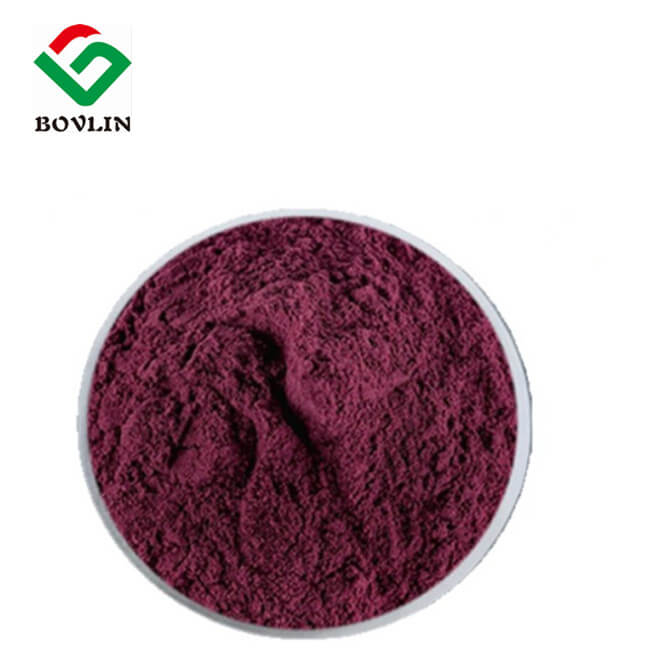 紫トウモロコシ抽出物アントシアニン